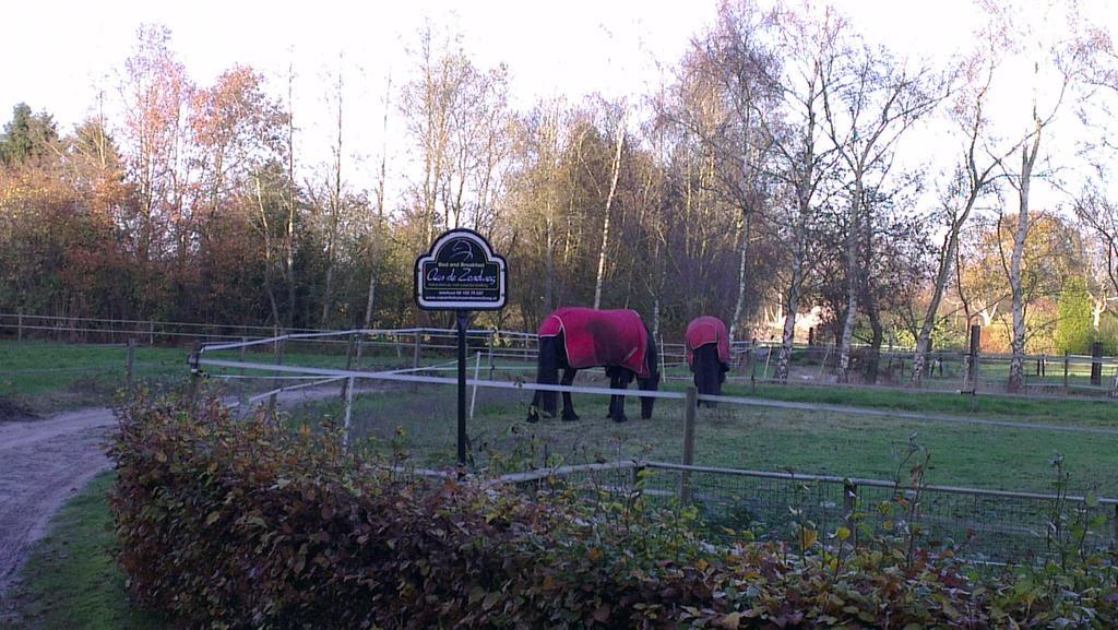 Vakantiehuis "Aan De Zandweg" Roderesch Oda fotoğraf