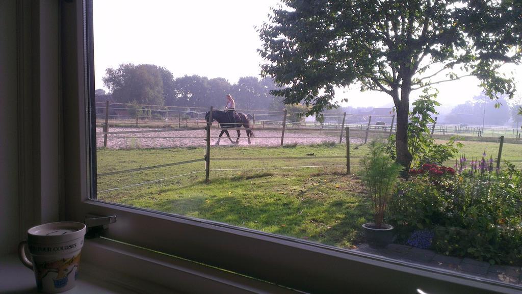 Vakantiehuis "Aan De Zandweg" Roderesch Oda fotoğraf