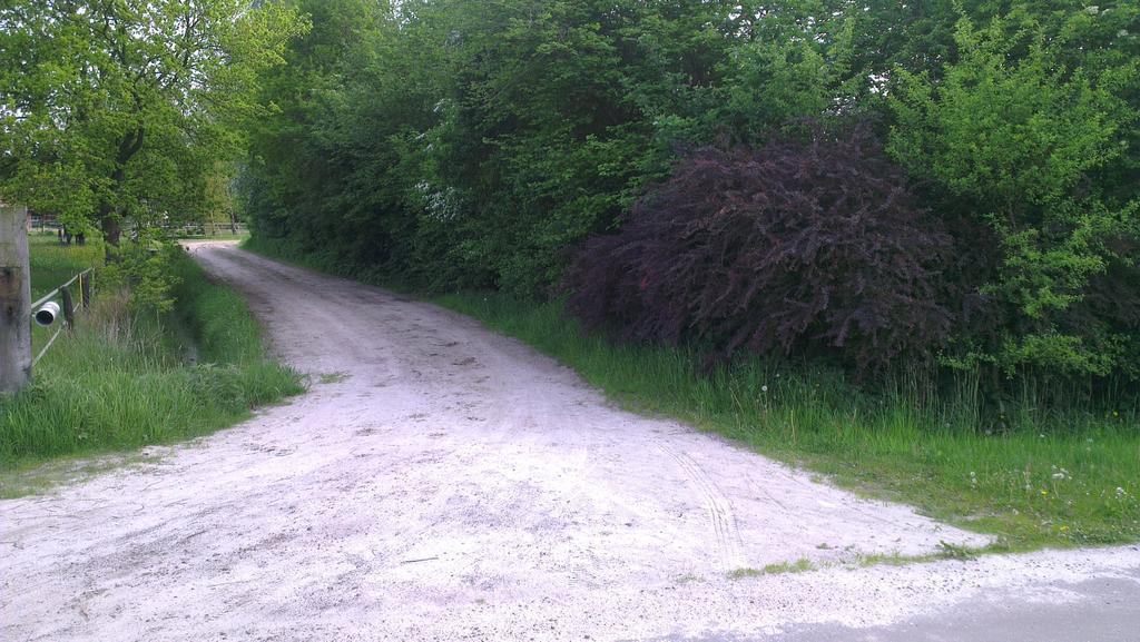 Vakantiehuis "Aan De Zandweg" Roderesch Dış mekan fotoğraf